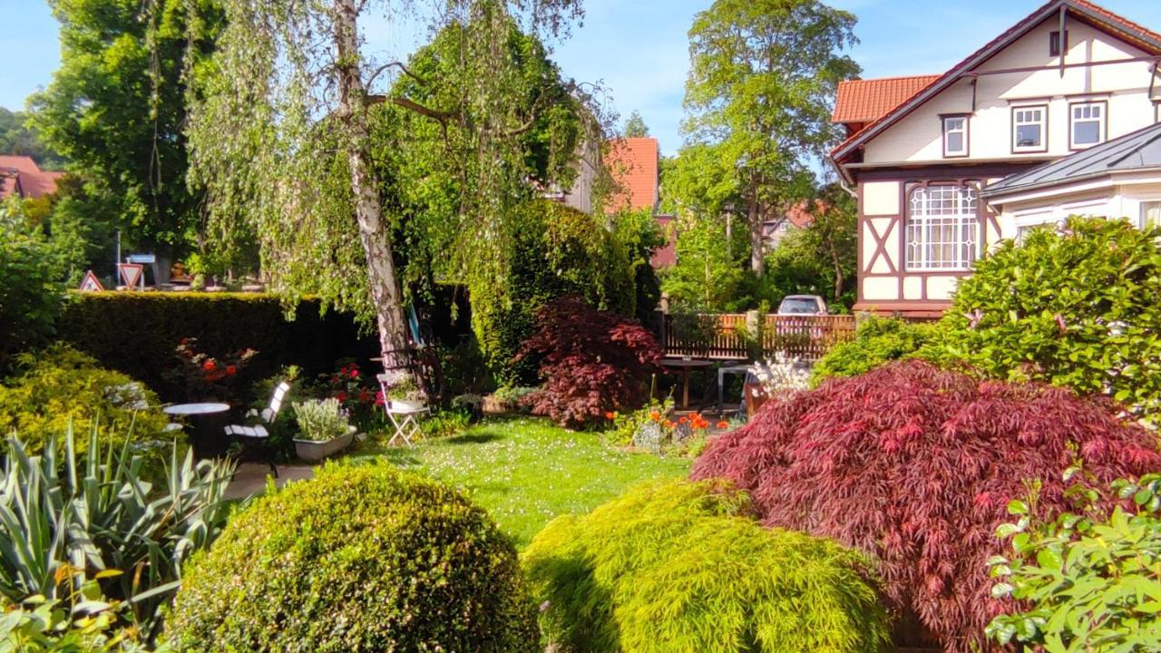 Fewo Am Wetzstein Wernigerode Bagian luar foto